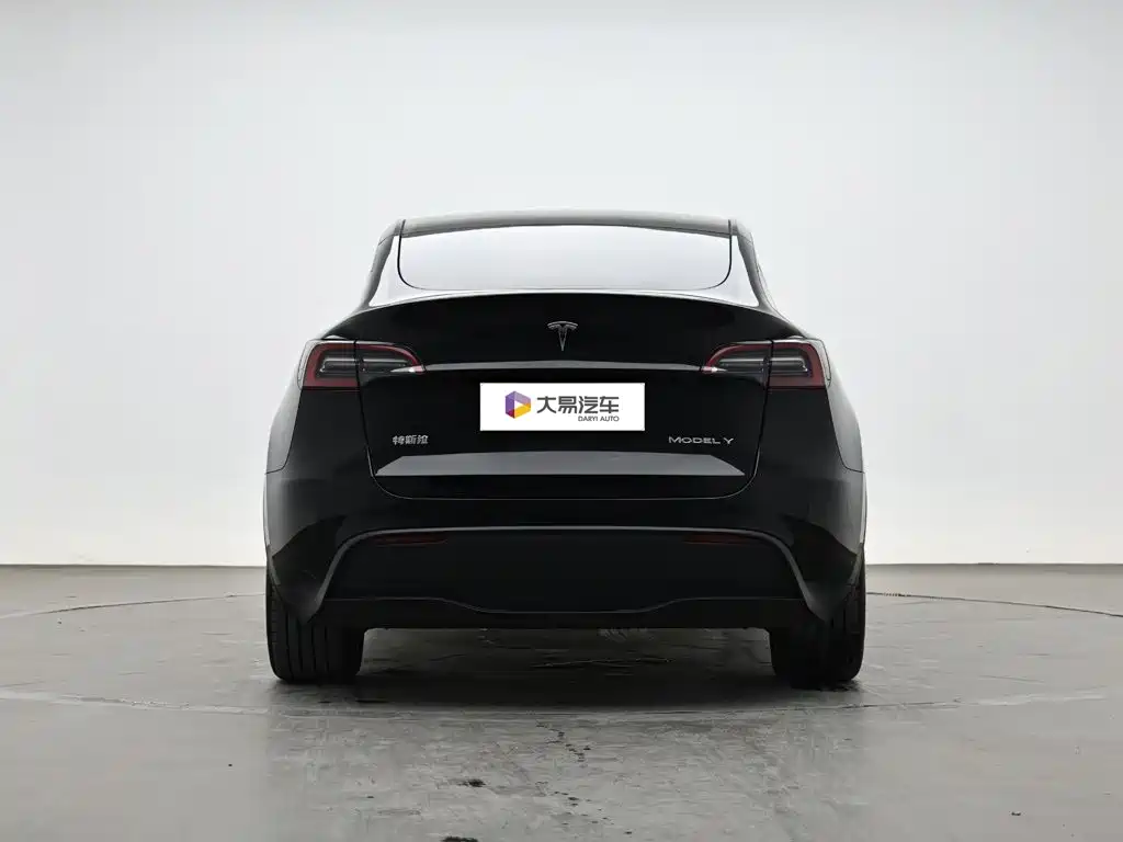 Tesla Model Y — миниатюра 4
