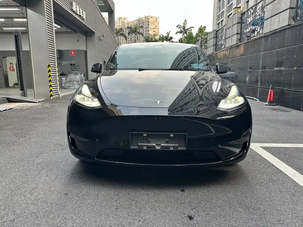 Tesla Model Y — миниатюра 3