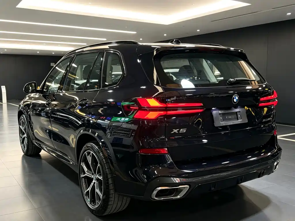 BMW X5 — миниатюра 7