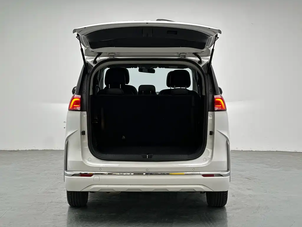 SAIC MAXUS CHASE G50