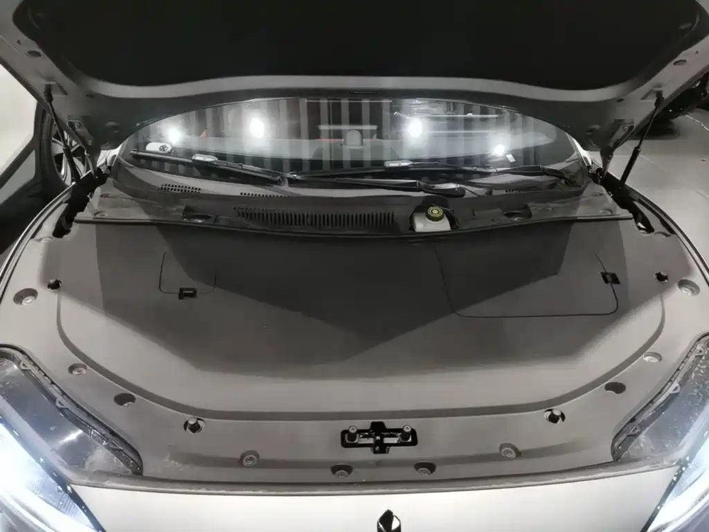 Zhijie Zhijie S7 — миниатюра 20