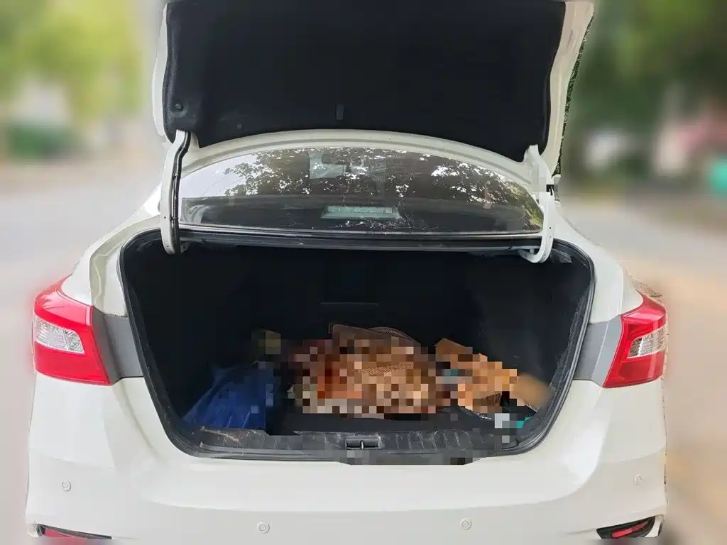 Nissan Sylphy — миниатюра 20