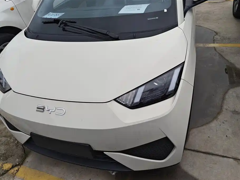 BYD Seagull 2025 305km