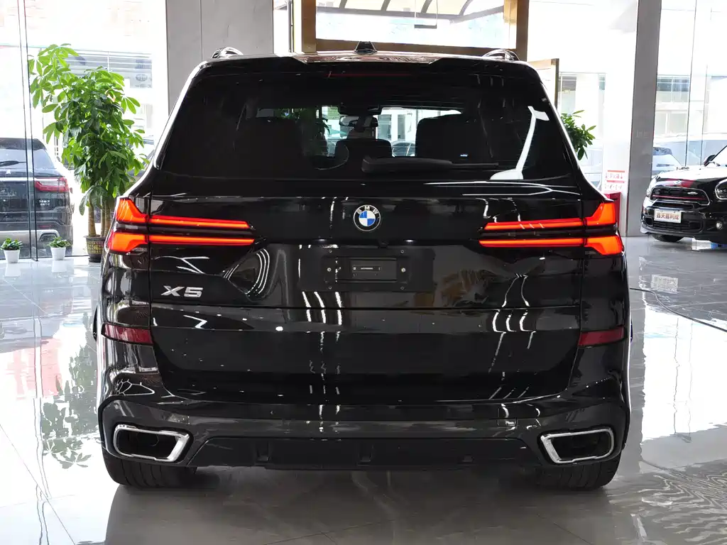 BMW X5 — миниатюра 5