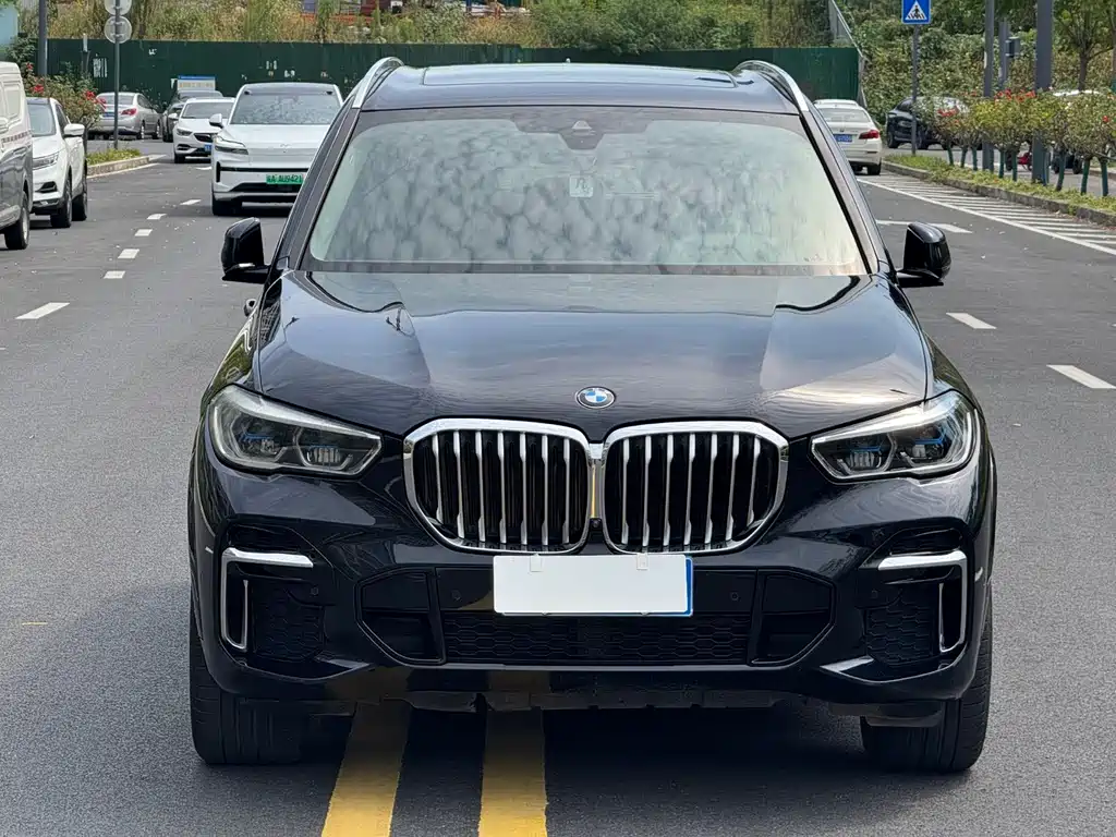 BMW X5 — миниатюра 2