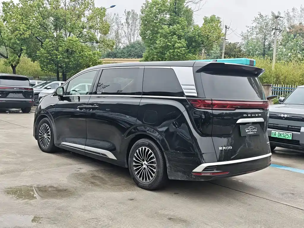Denza Denza D9 — миниатюра 11