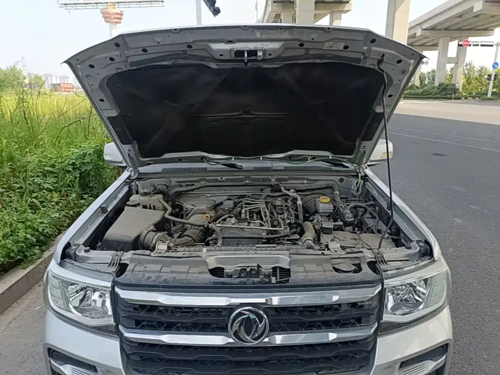 Dongfeng Rich — миниатюра 20