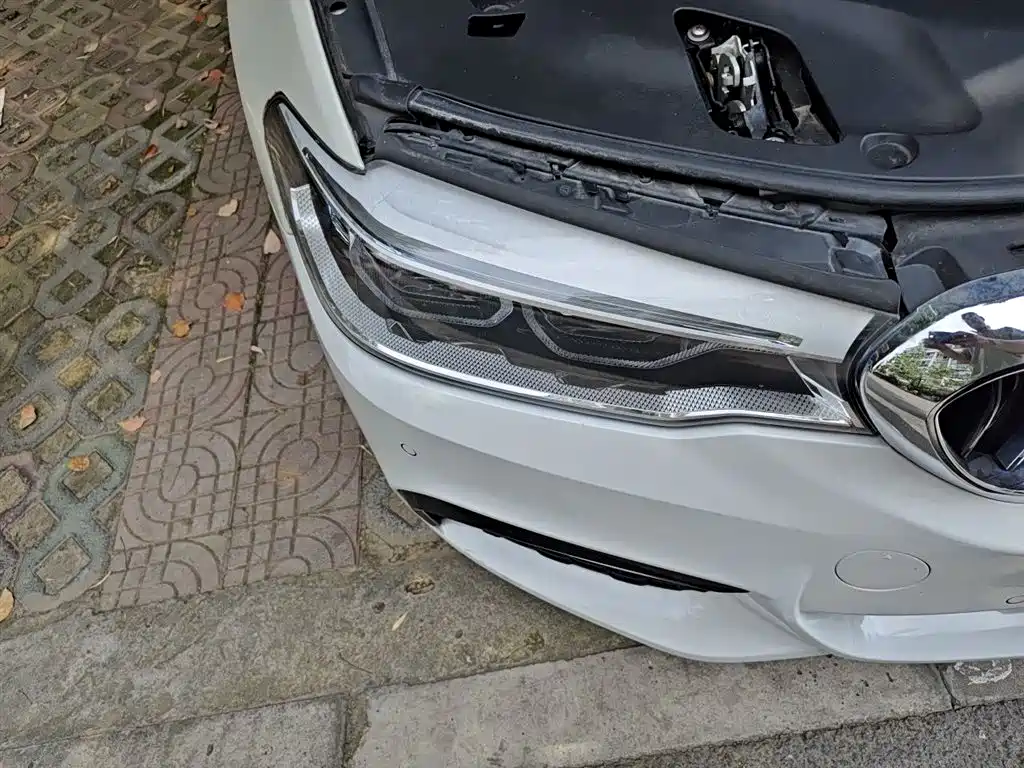 BMW 5 Series 5 2020 530Li Premium M Sport