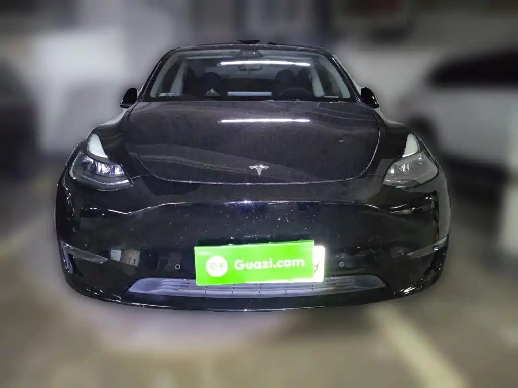 Tesla Model Y — миниатюра 2