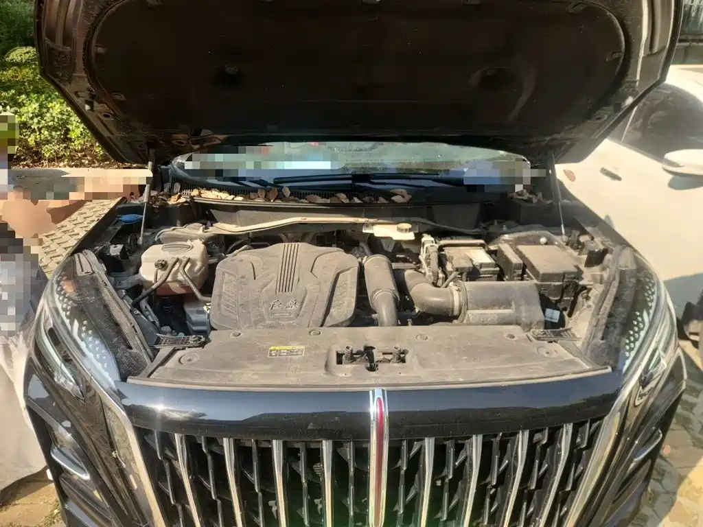 Hongqi Hongqi HS3 — миниатюра 16