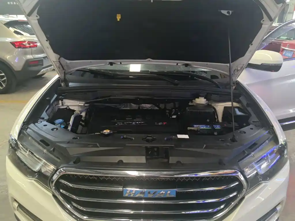 Haval H6 Coupe — миниатюра 20