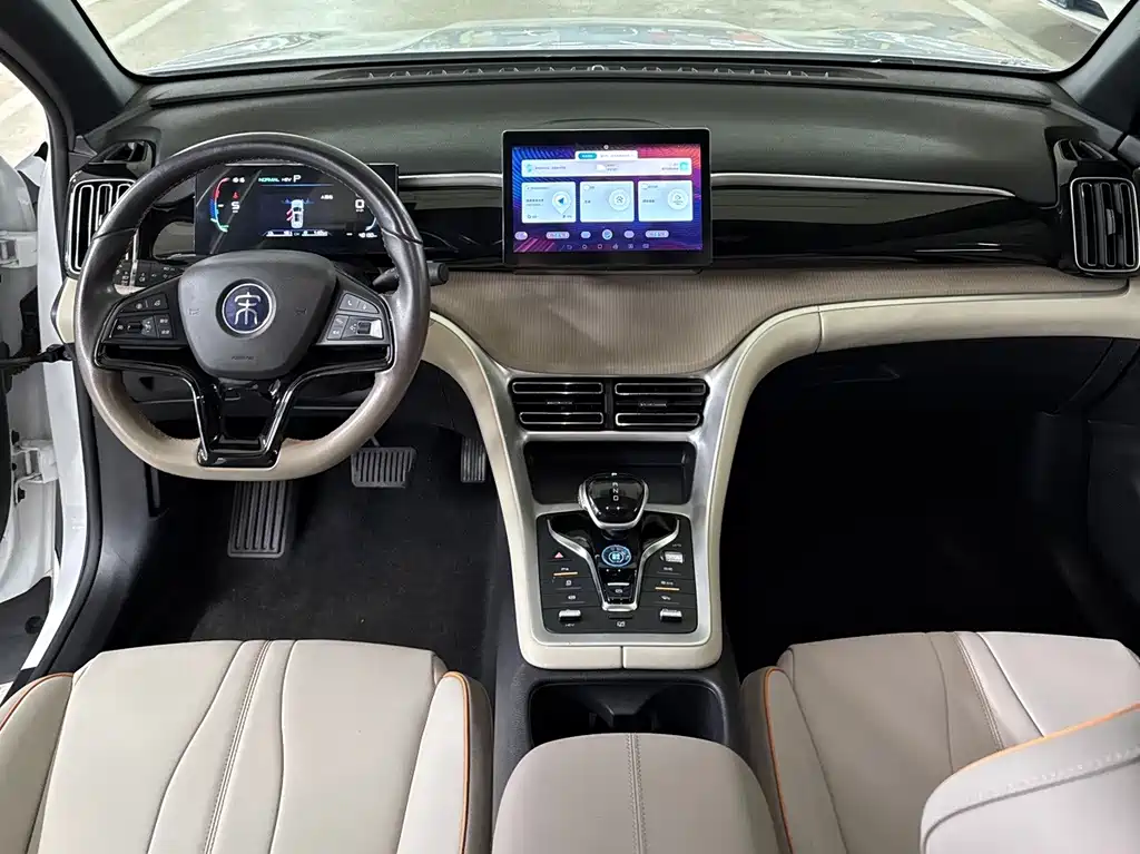BYD Pro New Energy — миниатюра 10