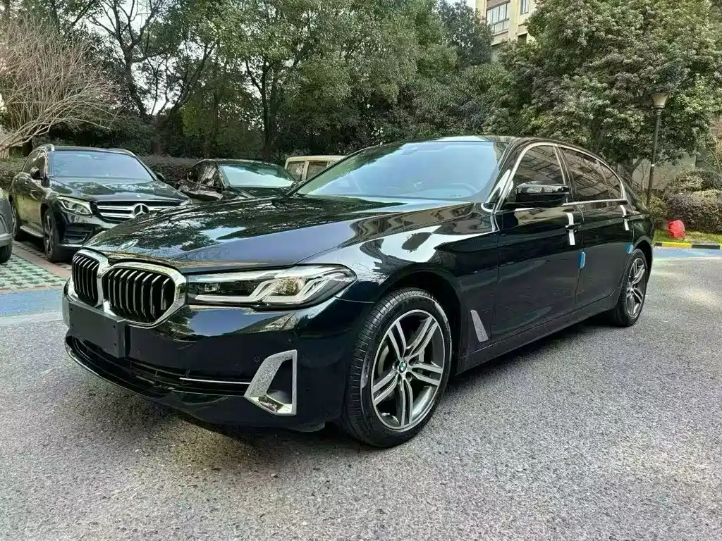 BMW 5 Series — миниатюра 3