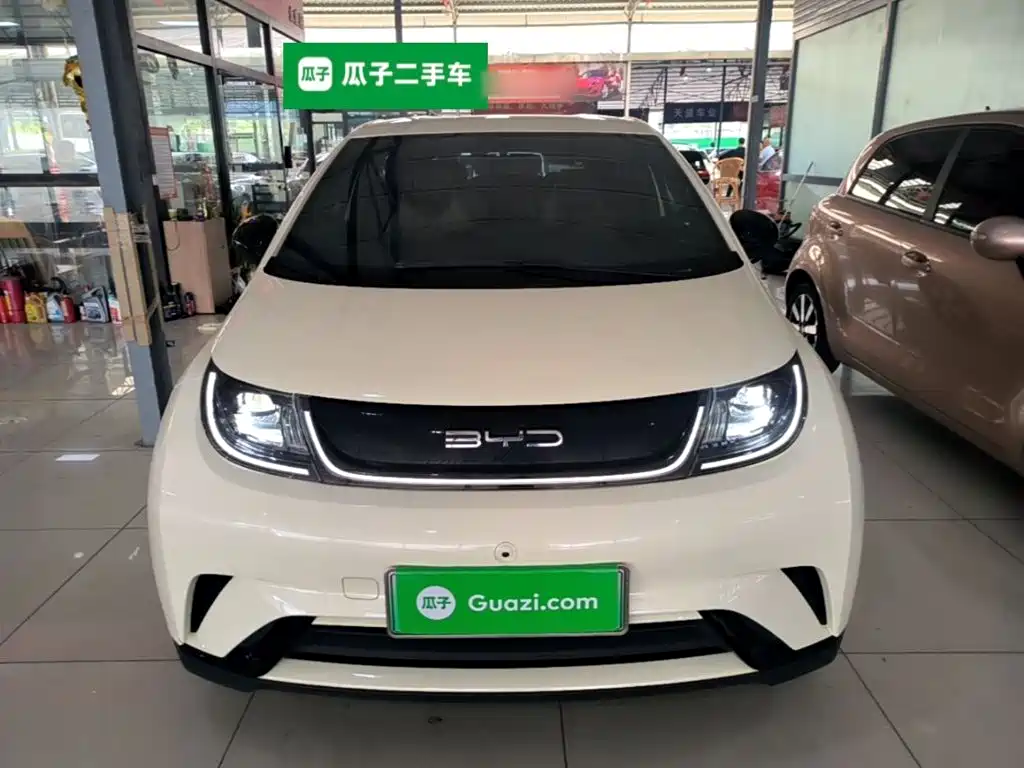 BYD Dolphin — миниатюра 3