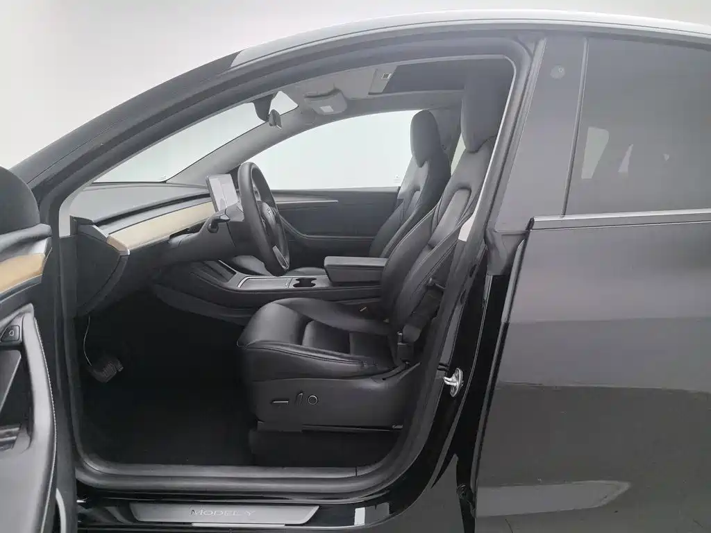 Tesla Model Y — миниатюра 10