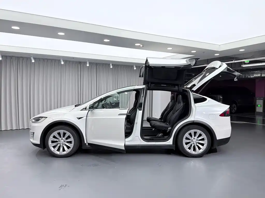 Tesla Model X — миниатюра 24
