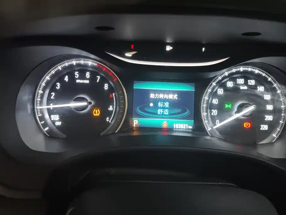 Buick GL6 — миниатюра 14