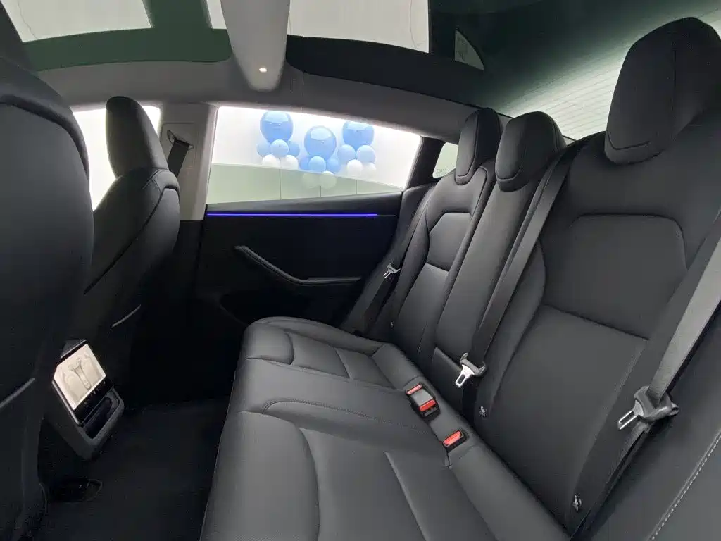 Tesla Model 3 — миниатюра 29