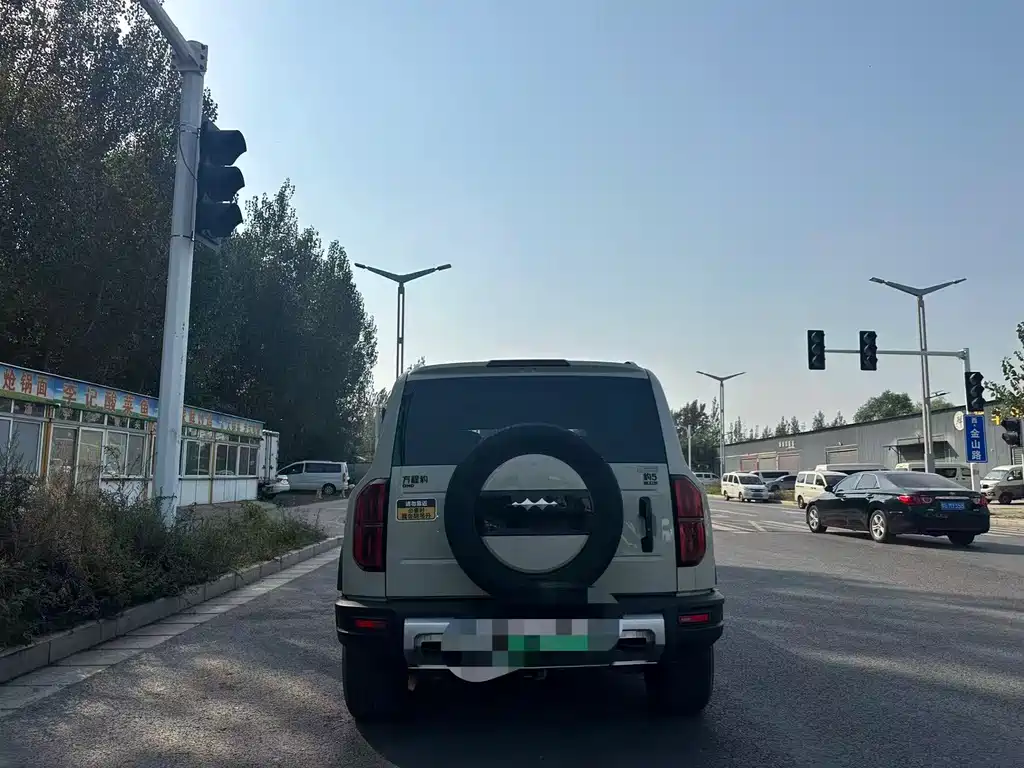Fang Cheng Bao Leopard 5 — миниатюра 8