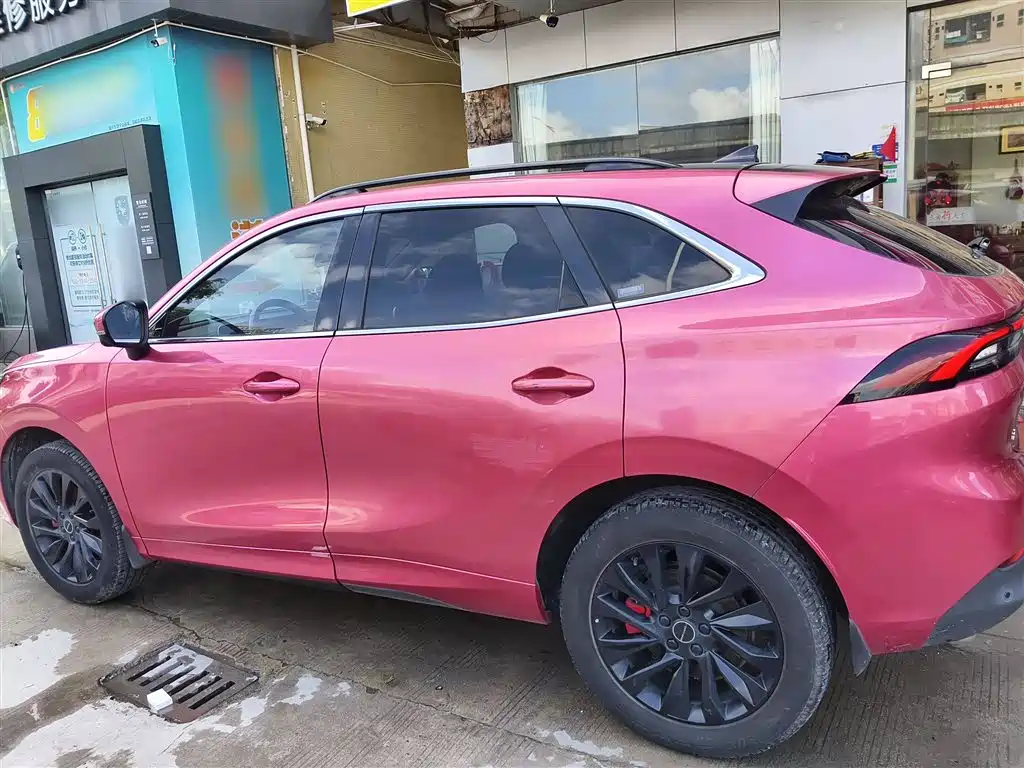 DONGFENG POPULAR T5 EVO