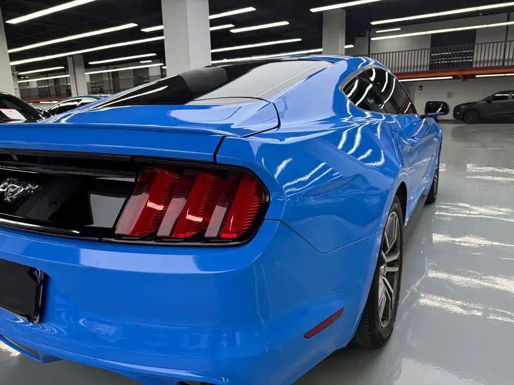 Ford Mustang — миниатюра 22
