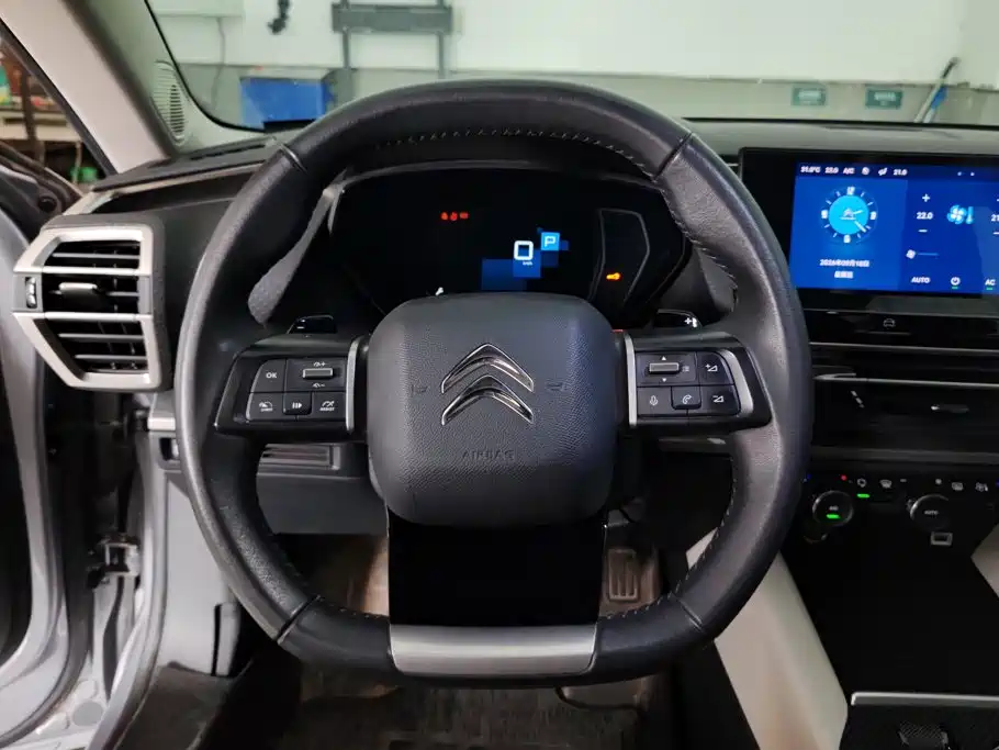 Citroen C5 X — миниатюра 15