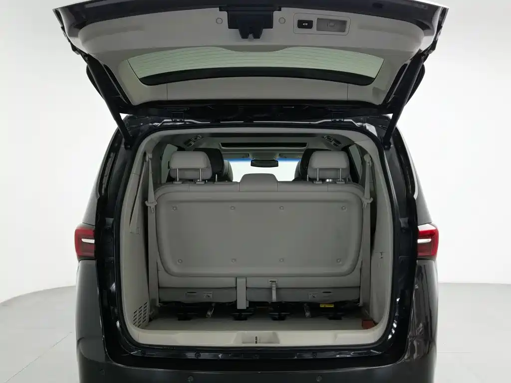 Buick GL8 — миниатюра 16