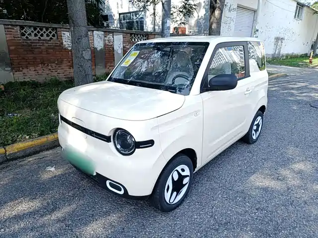 2026 Geely LC (Panda)