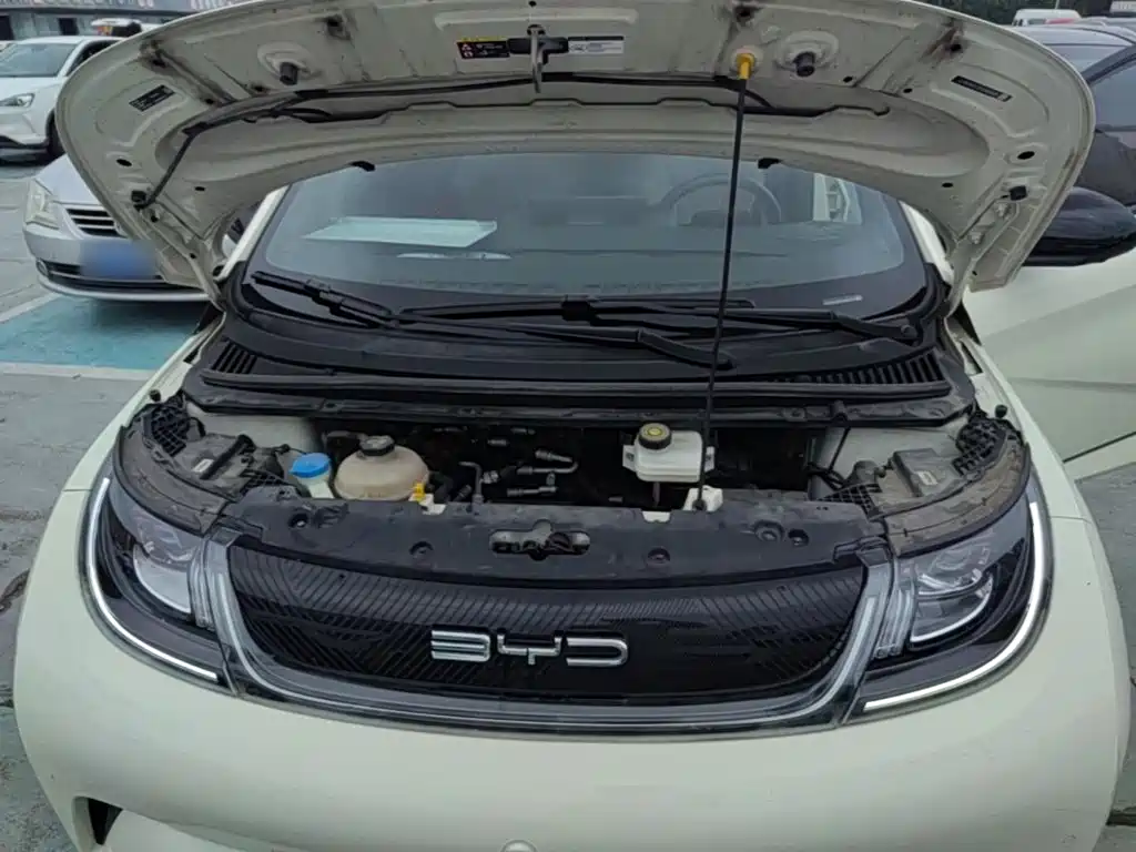 BYD Dolphin — миниатюра 20