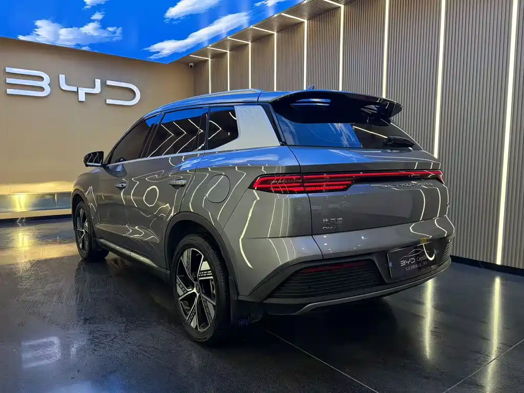 BYD Pro New Energy — миниатюра 16