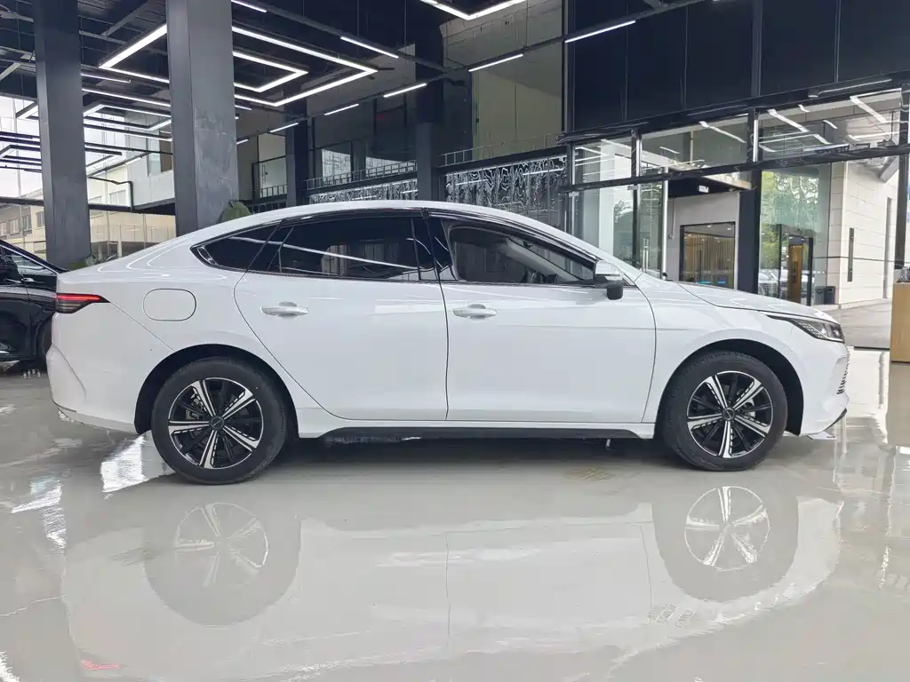 BYD Destroyer 05 — миниатюра 15