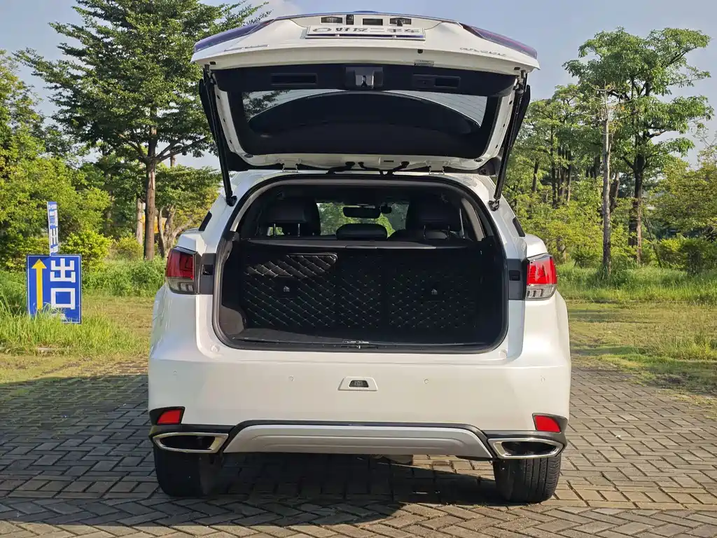 Lexus RX — миниатюра 24