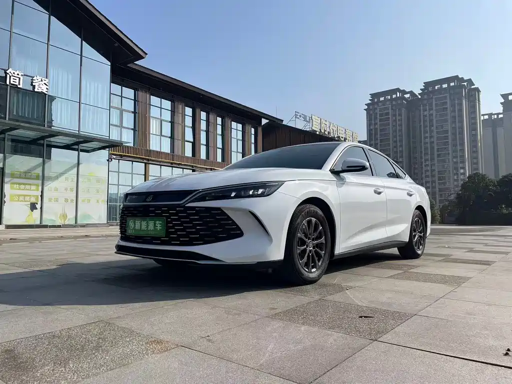 BYD QIN L