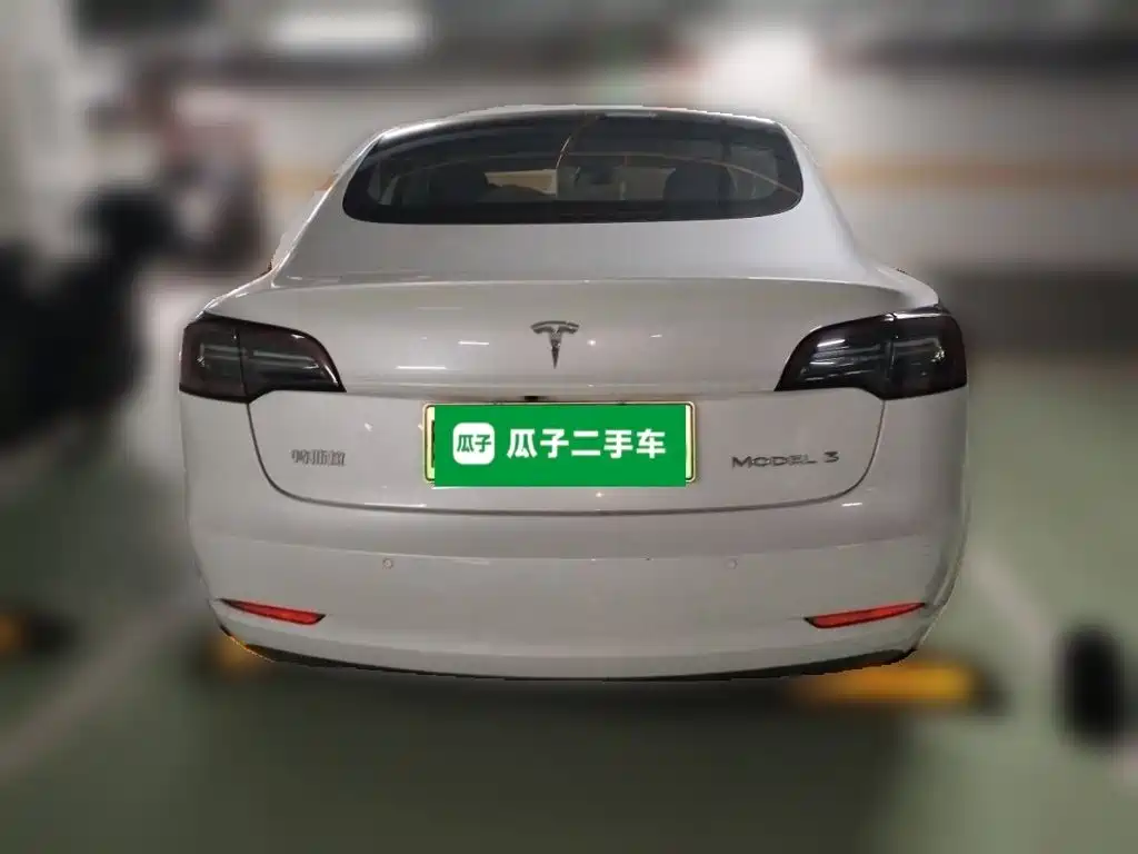 Tesla Model 3 — миниатюра 5