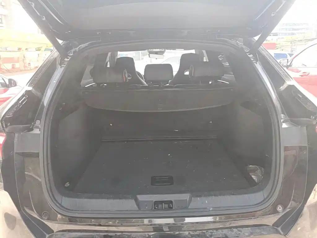 BYD PLUS New Energy — миниатюра 19