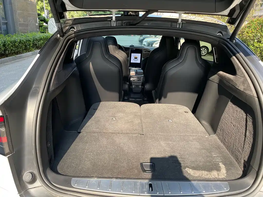 Tesla Model X — миниатюра 17