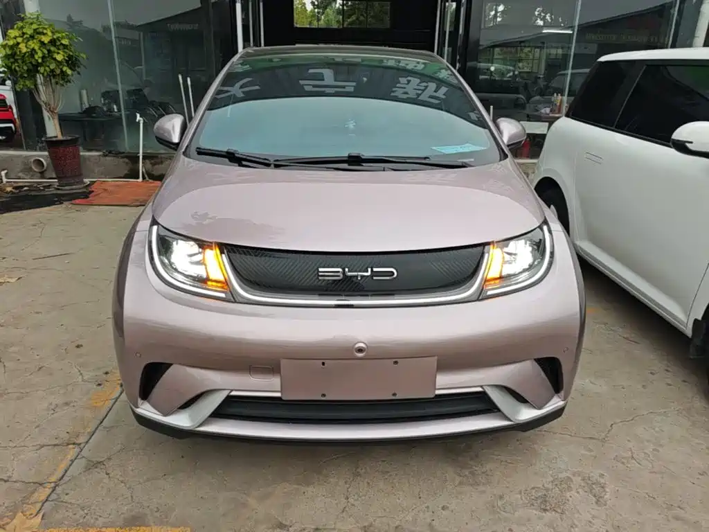 BYD Dolphin — миниатюра 3