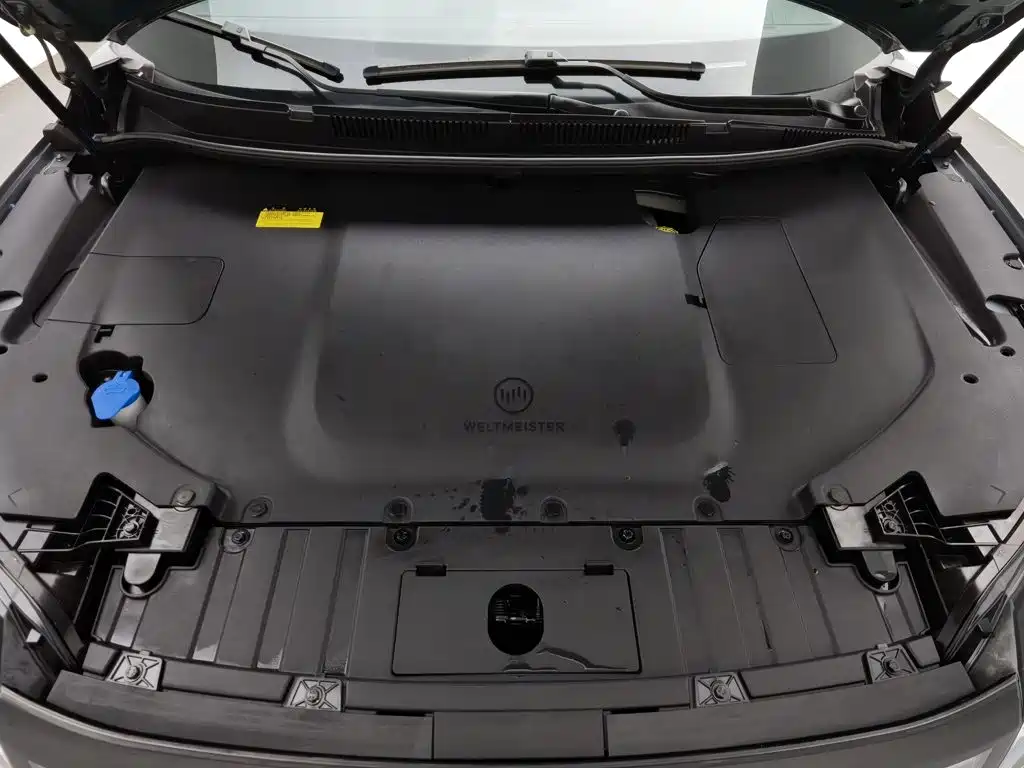 WM Motor W6 — миниатюра 6