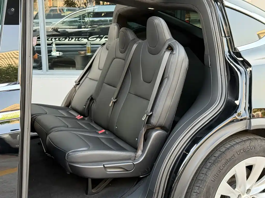 Tesla Model X — миниатюра 3