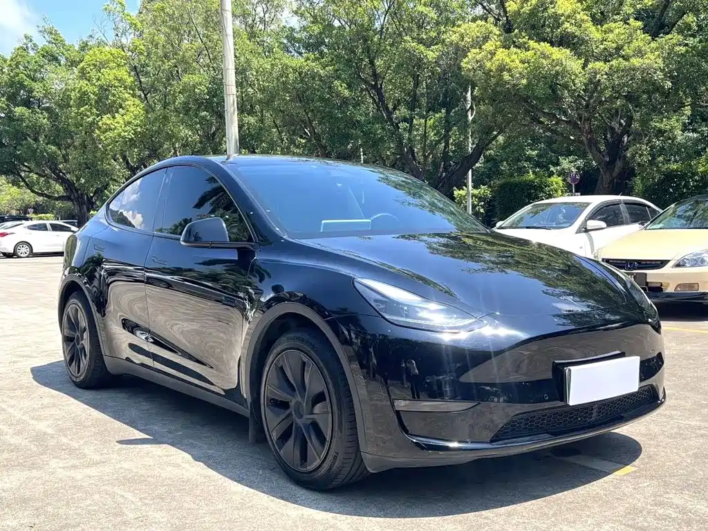 Tesla Model Y — миниатюра 3
