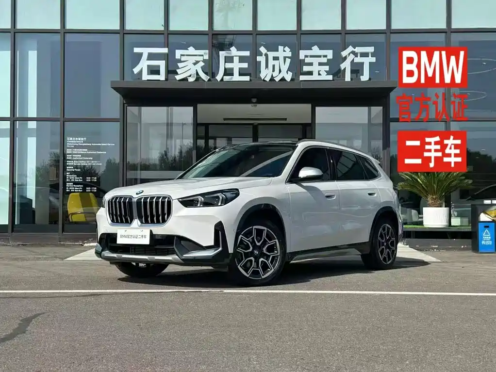 BMW X1 — миниатюра 2