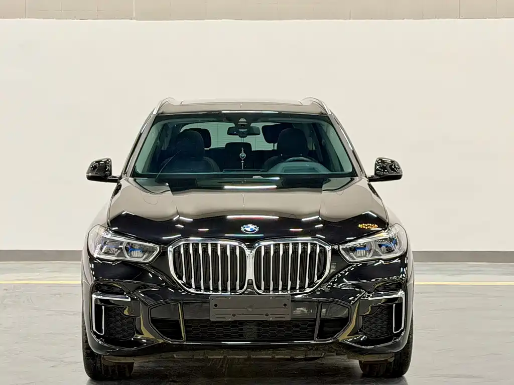 BMW X5 — миниатюра 2