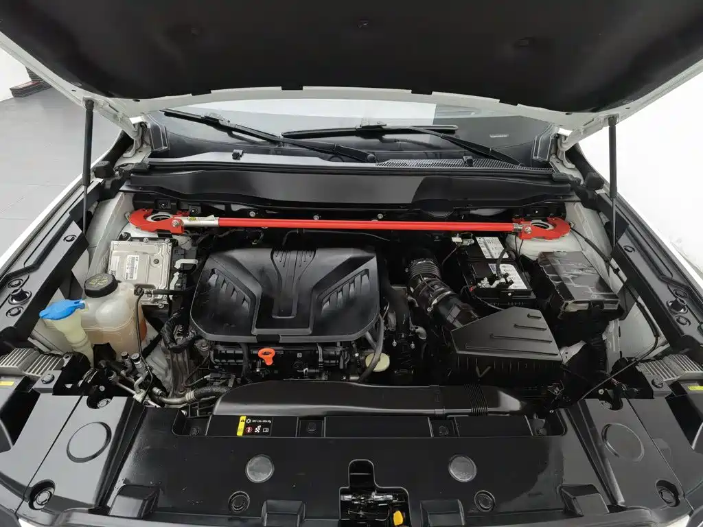 Haval Big Dog — миниатюра 6