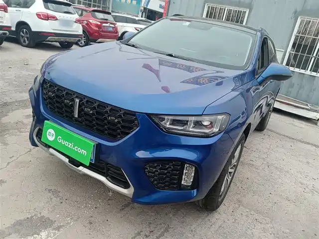 2017 Wey VV5