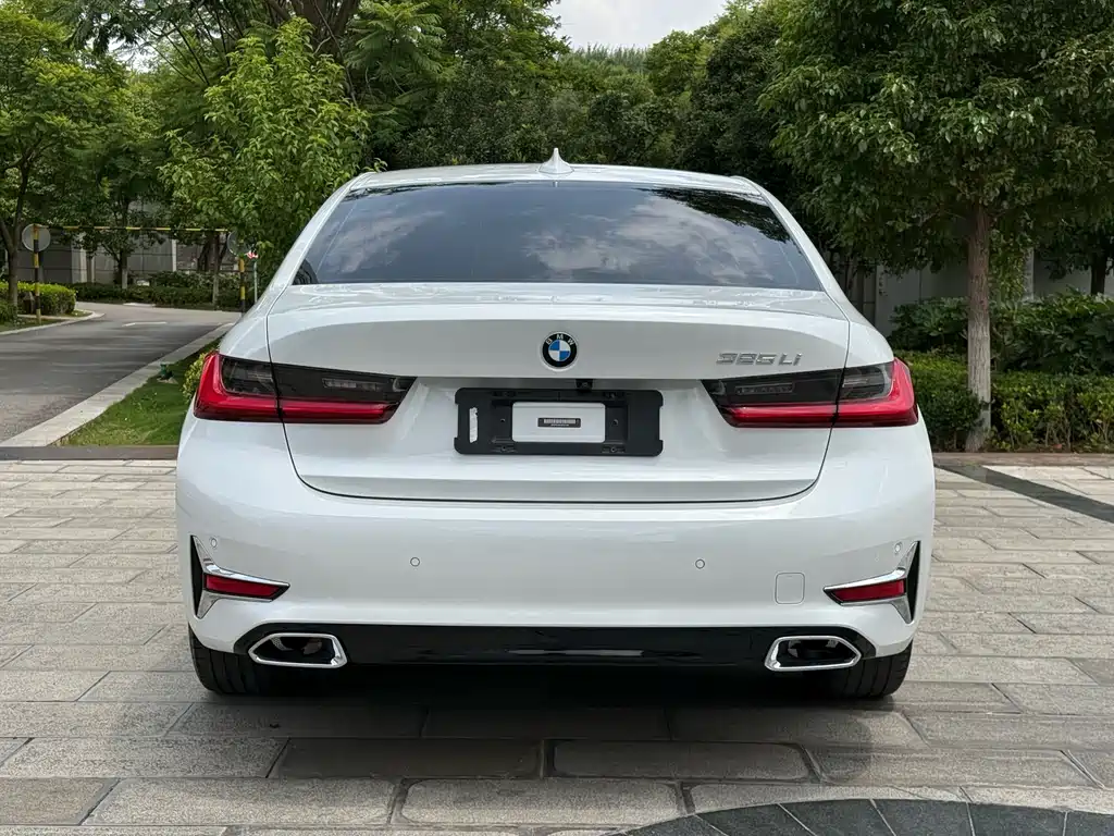 BMW 3 Series 3 2020 325Li