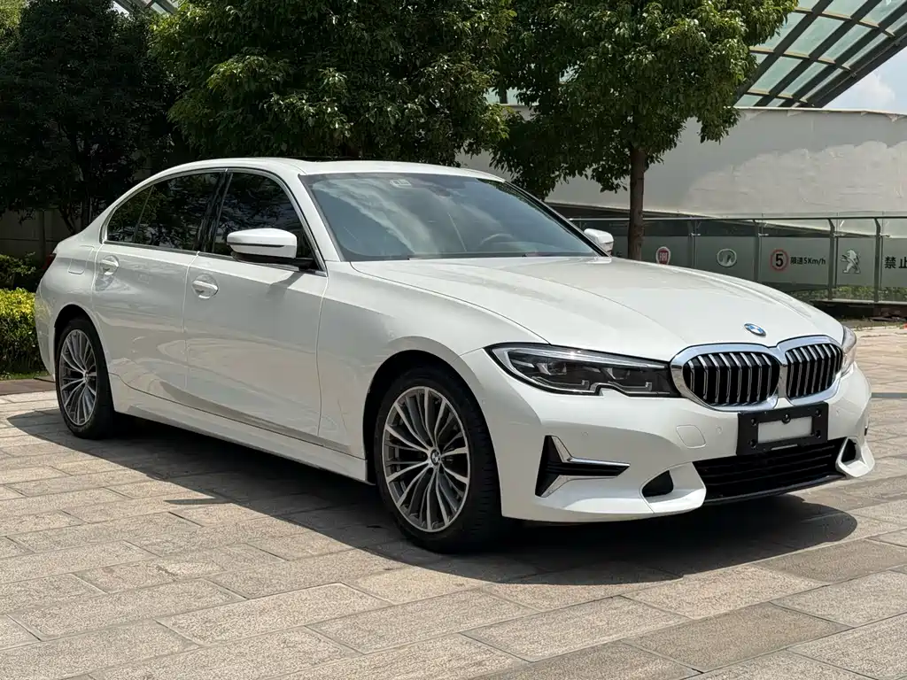 BMW 3 Series 3 2020 325Li