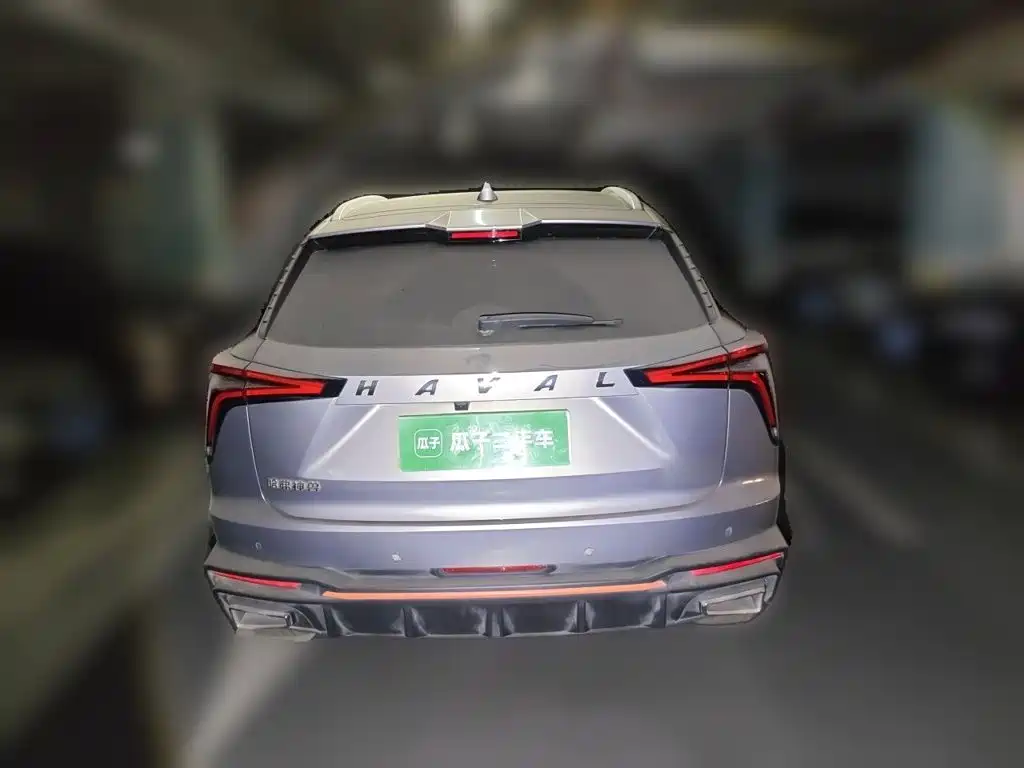 Haval Shenshou — миниатюра 3