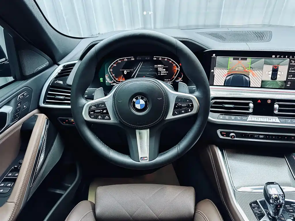BMW X6 — миниатюра 17
