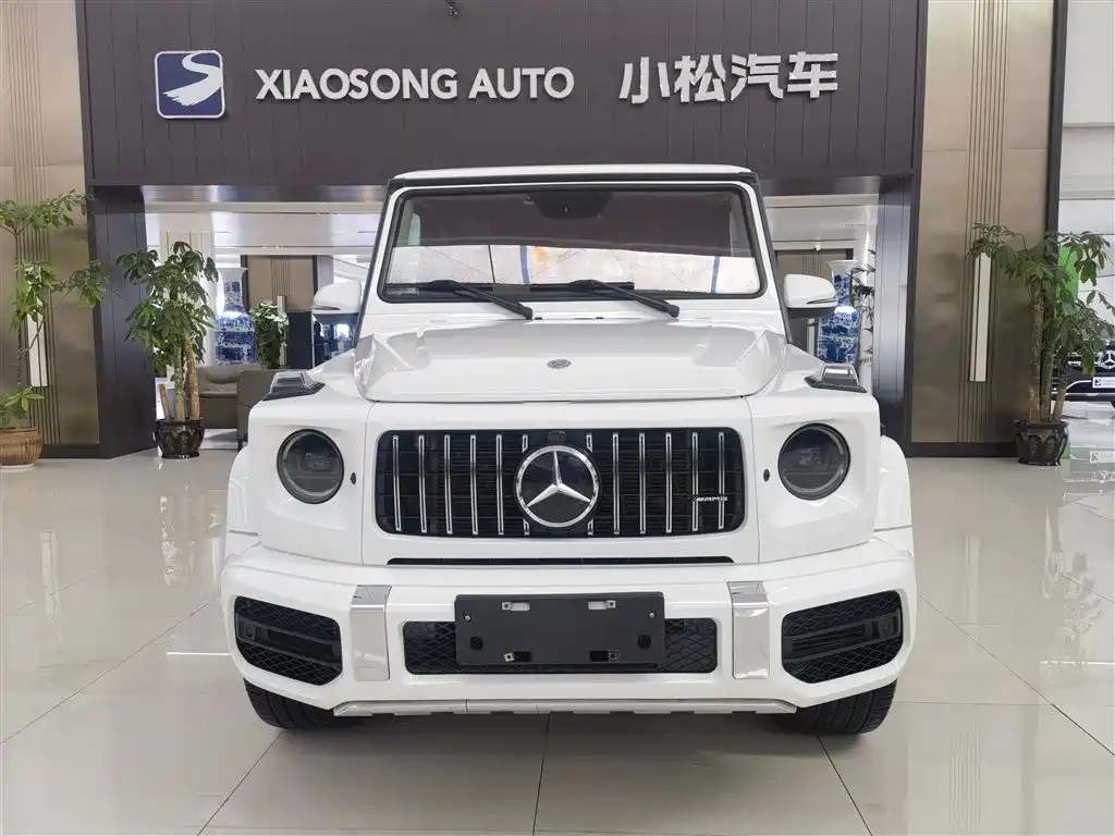 MERCEDES-BENZ G CLASS