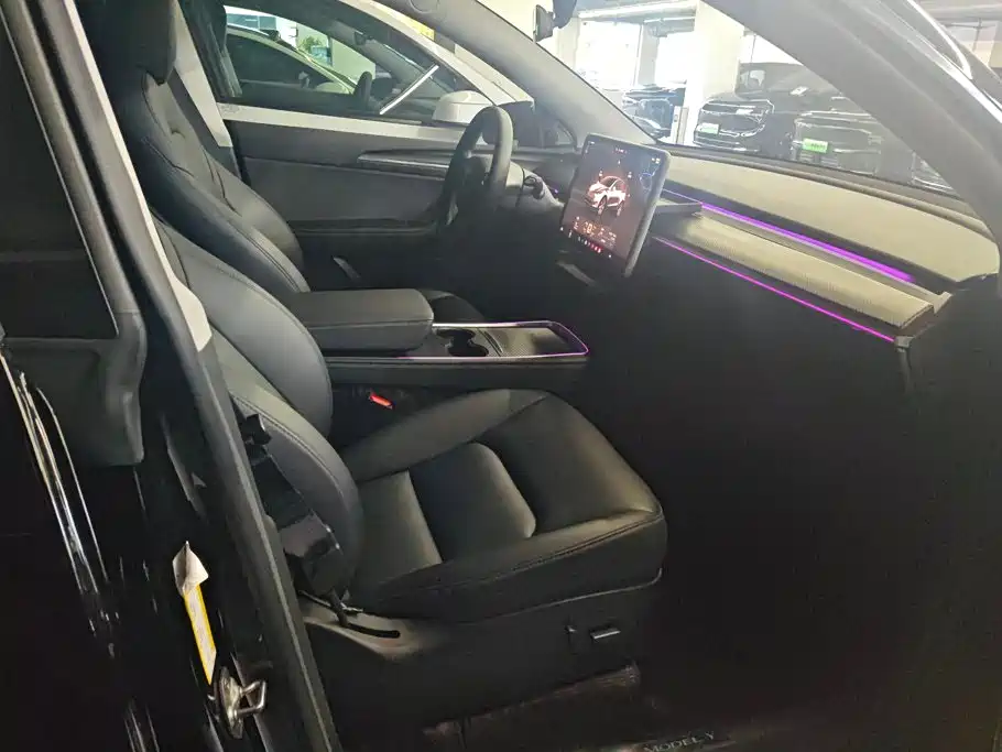 Tesla Model Y — миниатюра 8